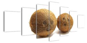 Kokosový orech, obraz (Obraz 210x100cm)