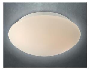 REDO SMARTER 01-398 IBIS