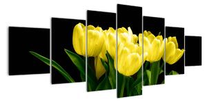 Tulipány - obraz (Obraz 210x100cm)