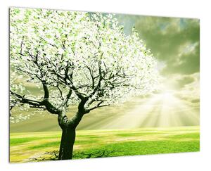 Jarný strom - moderný obraz (Obraz 60x40cm)