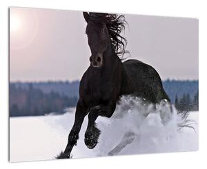 Obraz kone v snehu (Obraz 60x40cm)