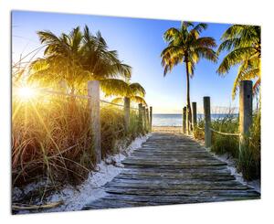 Moderný obraz do bytu - tropický raj (Obraz 60x40cm)