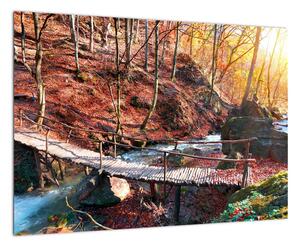 Obraz mosta - jesenné cesta lesom (Obraz 60x40cm)