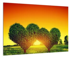 Zelené srdce sa zapadajúcim slnkom (Obraz 60x40cm)