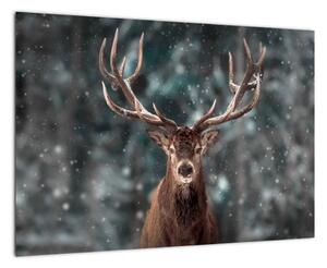 Obraz - jeleň v zime (Obraz 60x40cm)