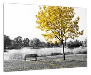 Obraz žltého stromu v prírode (Obraz 60x40cm)