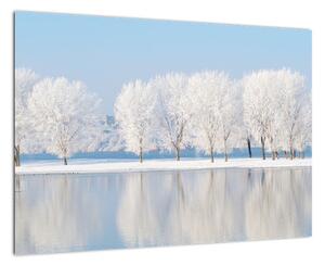 Obraz - zimná príroda (Obraz 60x40cm)