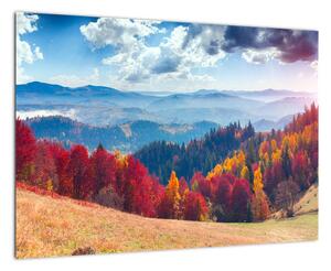 Obraz jesennej prírody (Obraz 60x40cm)