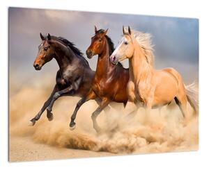 Moderný obraz koní (Obraz 60x40cm)