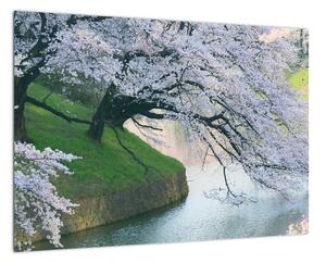 Obraz kvitnúcich stromov (Obraz 60x40cm)