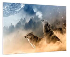 Obraz - vyjící vlci (Obraz 60x40cm)