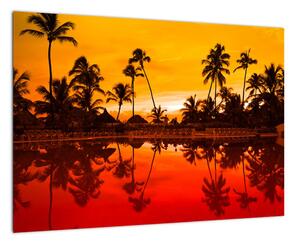 Obraz - tropická krajina (Obraz 60x40cm)