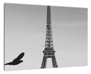 Obraz - Eiffelova veža (Obraz 60x40cm)