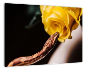 Obraz hada so žltou ružou (Obraz 60x40cm)