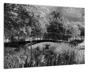 Čiernobiely most - obraz (Obraz 60x40cm)