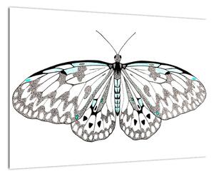 Čiernobiely motýľ (Obraz 60x40cm)