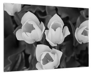 Čiernobiele kvety (Obraz 60x40cm)