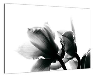Obraz čiernobielych kvetov (Obraz 60x40cm)