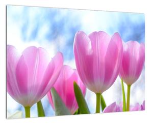 Obraz ružových tulipánov (Obraz 60x40cm)
