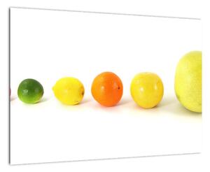 Obraz - ovocie (Obraz 60x40cm)