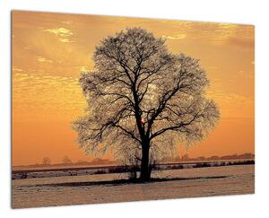 Obraz sa stromom (Obraz 60x40cm)