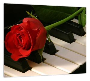 Obraz ruže na klavíri (Obraz 30x30cm)