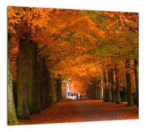 Obraz cesty lesom na jeseň (Obraz 30x30cm)