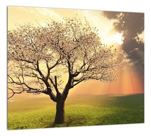 Obraz prírody - strom (Obraz 30x30cm)