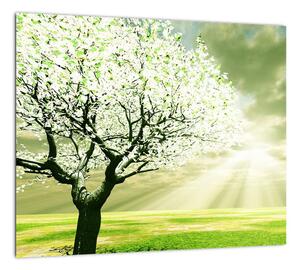 Jarný strom - moderný obraz (Obraz 30x30cm)