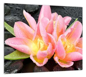 Obraz kvetov (Obraz 30x30cm)