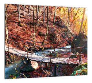 Obraz mosta - jesenné cesta lesom (Obraz 30x30cm)