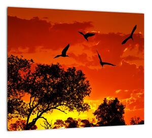 Obraz zapadajúceho slnka s vtákmi (Obraz 30x30cm)