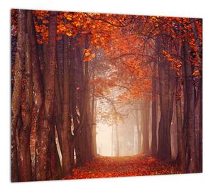 Jesenné les - obraz (Obraz 30x30cm)