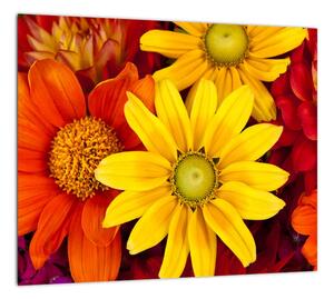 Obraz kvetín (Obraz 30x30cm)