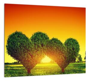 Zelené srdce sa zapadajúcim slnkom (Obraz 30x30cm)