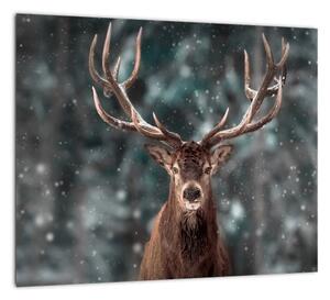 Obraz - jeleň v zime (Obraz 30x30cm)