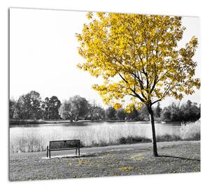 Obraz žltého stromu v prírode (Obraz 30x30cm)