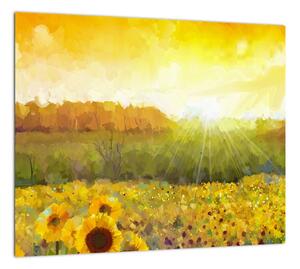 Obraz slnečnice na poli (Obraz 30x30cm)