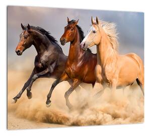 Moderný obraz koní (Obraz 30x30cm)