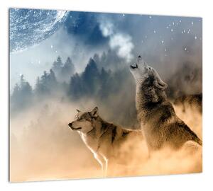 Obraz - vyjící vlci (Obraz 30x30cm)