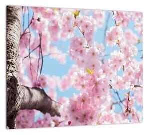 Kvitnúce strom - obraz (Obraz 30x30cm)