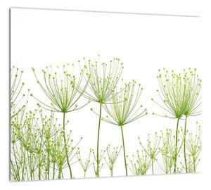 Obraz rastlín na bielom pozadí (Obraz 30x30cm)