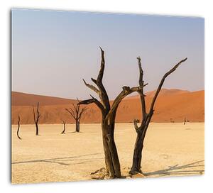 Obraz púšte (Obraz 30x30cm)