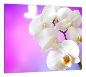 Obraz s orchideí (Obraz 30x30cm)