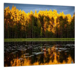 Obraz - jesenná krajina (Obraz 30x30cm)