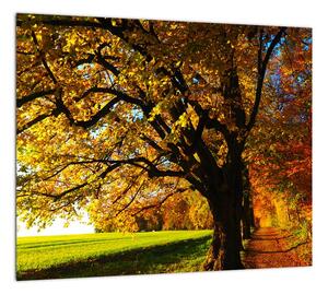 Obraz jesennej krajiny (Obraz 30x30cm)