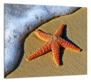 Obraz s morskou hviezdou (Obraz 30x30cm)