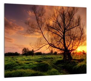 Západ slnka, obrazy (Obraz 30x30cm)