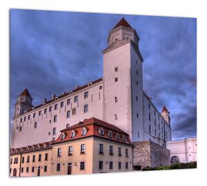 Obraz zámku (Obraz 30x30cm)