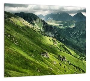 Pohorie hôr - obraz na stenu (Obraz 30x30cm)